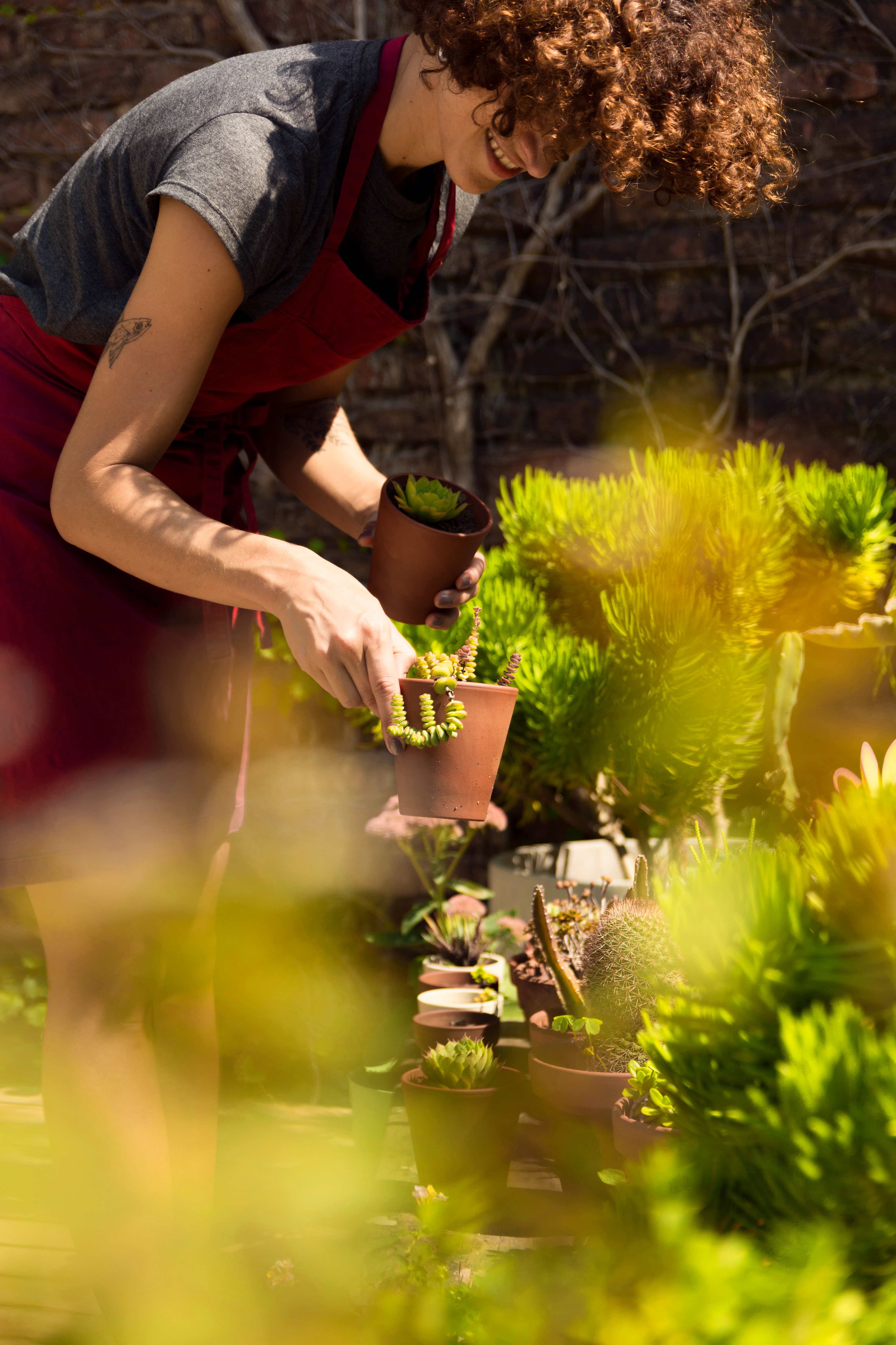 Kraštovaizdžio kūrimas ir sodo priežiūra